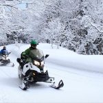 191118-3-768-tou-LTAR.jpg.thumb.768.768