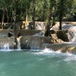IMG_2501