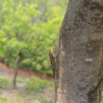 IMG_6381