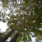 DSC05015