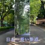 冰川參道